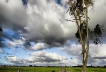 欧冠比赛场面一览无余，球员表现引人瞩目