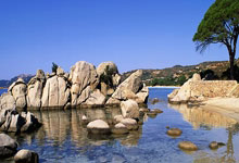 瑞典队将对阵法国队，力求胜利